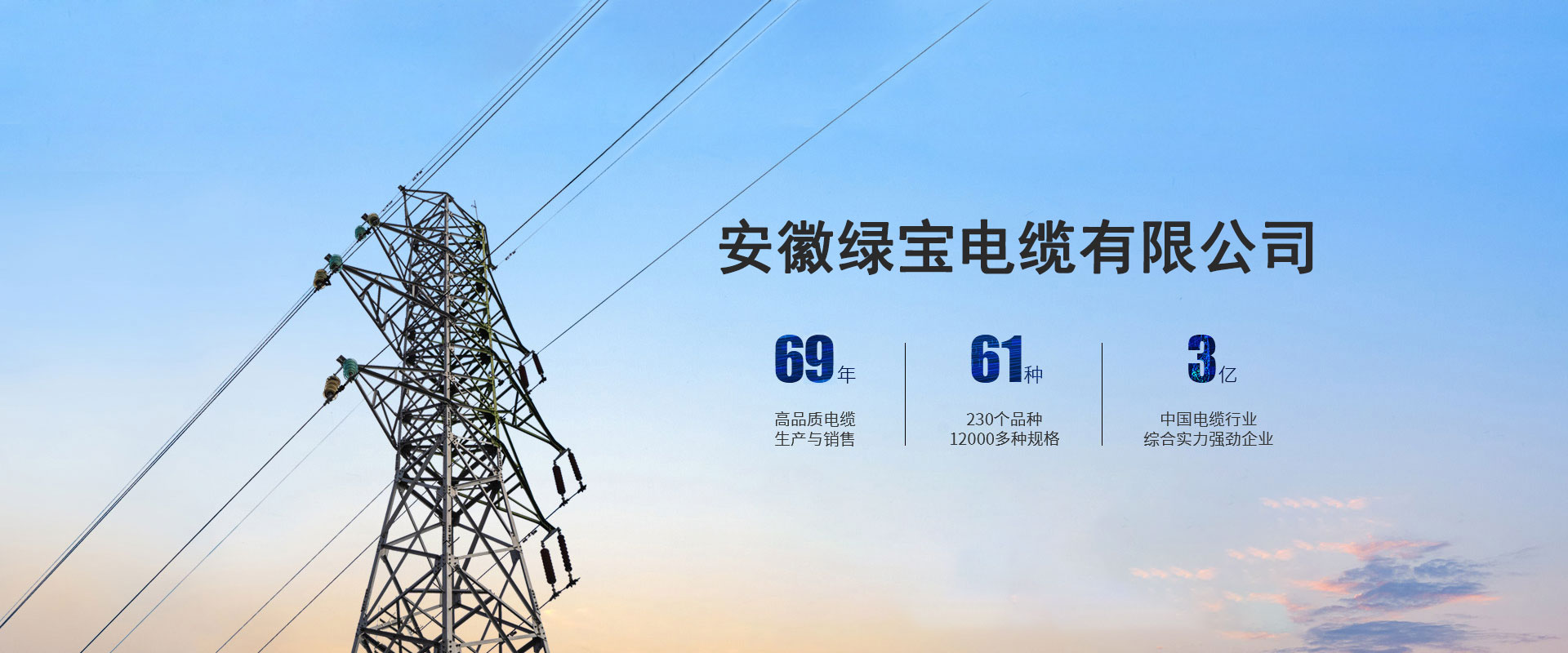 電線電纜行業踐行者 title=